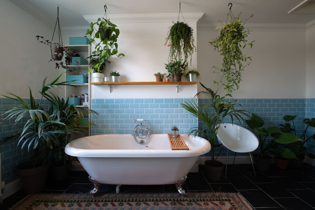 The best bath you will probably ever had... Surrounded by a small forest of plants this large roll-top bath offers the perfect antidote to walks around the galleries and harbour...