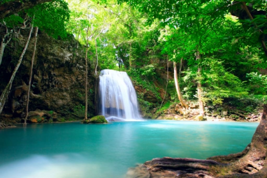 Enjoy our many waterfalls
we have 5 of them to go to.