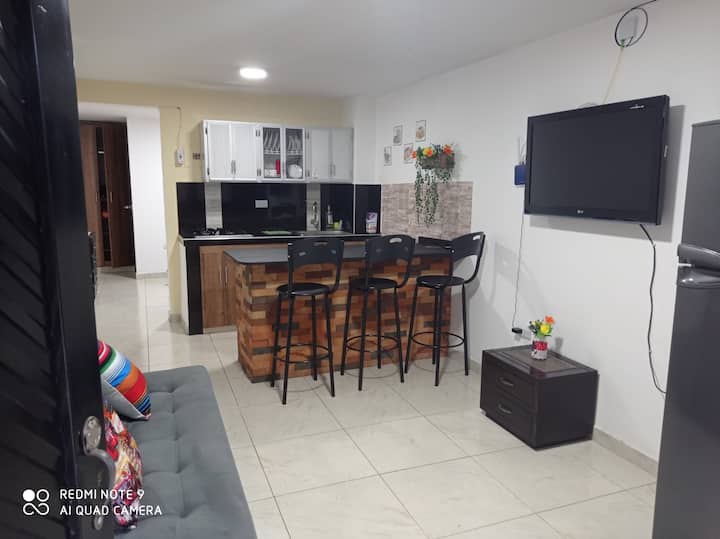 Sala de apartamento, barra de cocina y TV