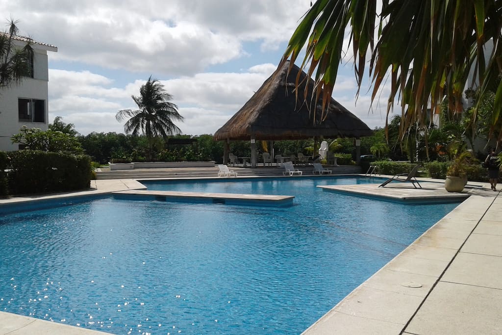 Alberca y palapa