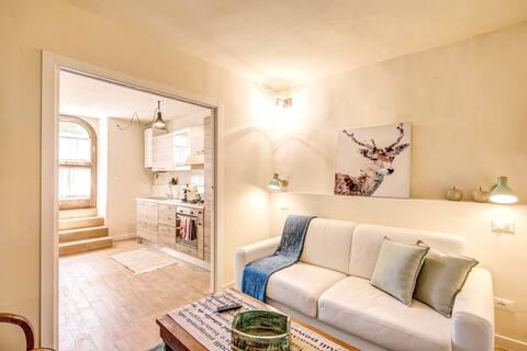 apartment in the historic center