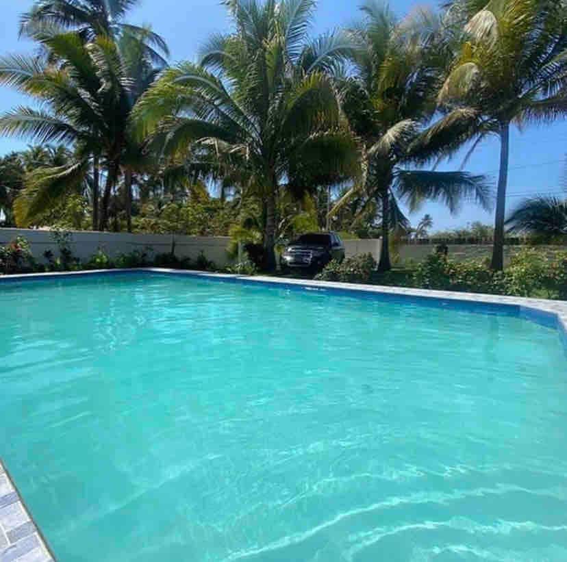 A wide pool with clear blue water reflects the surrounding palm trees. Lush greenery lines the pool area, providing a serene environment. A vehicle is parked nearby, indicating easy access to the property and amenities.