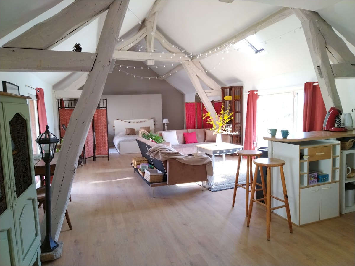 The studio features exposed wooden beams across the ceiling, creating an open atmosphere. A spacious bed is positioned against the wall, accompanied by colorful cushions. A dining area is nearby, complemented by a kitchen counter and bar stools. Natural light fills the space through large windows.