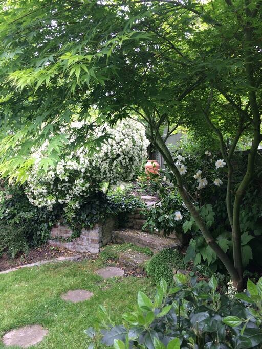 Large private garden