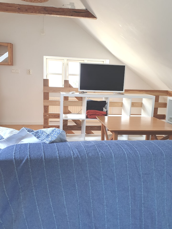 Upstairs with sofa and smaller internet TV. 