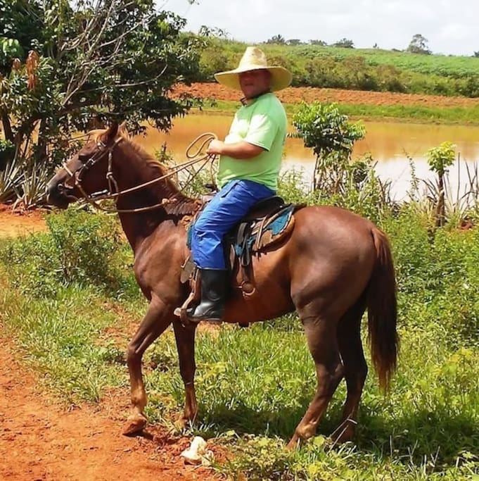 Excursiones a caballos