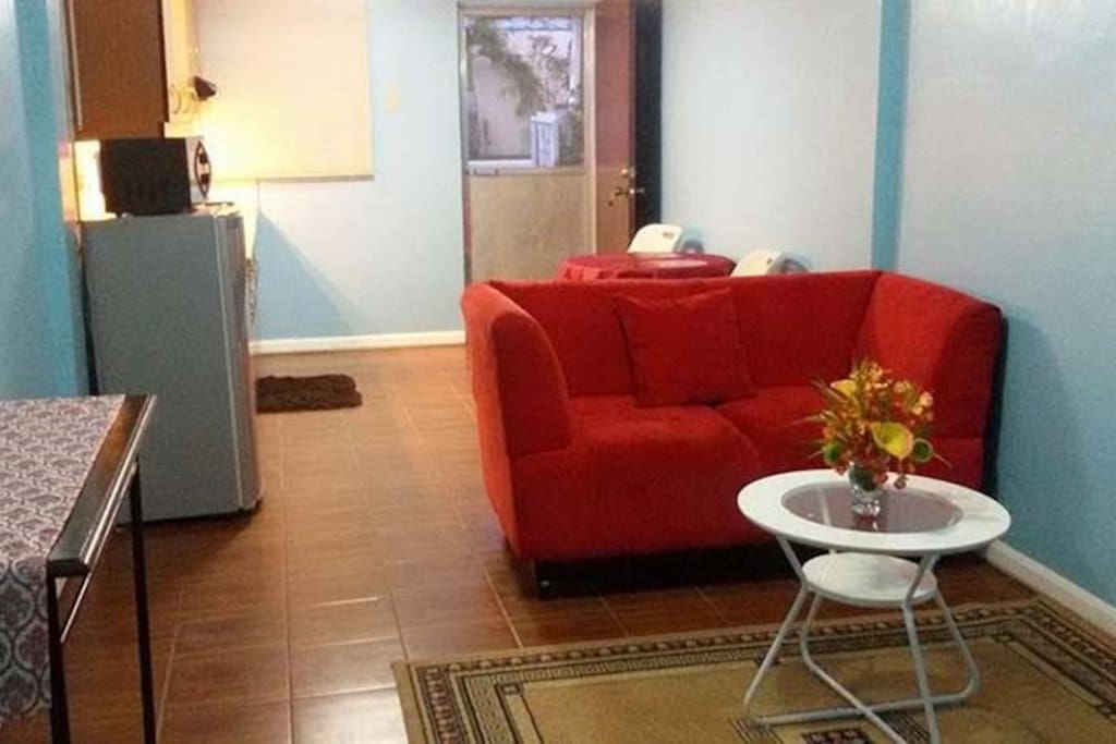 Apartment Sofa/Sitting Area