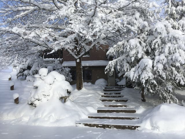 Top Cattaraugus Cabins Vacation Rentals Airbnb
