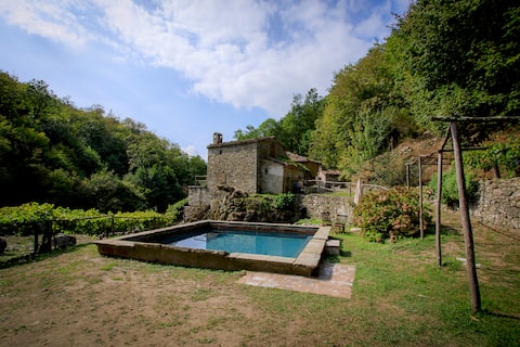 Ancient mill in the "green hearth" of Tuscany