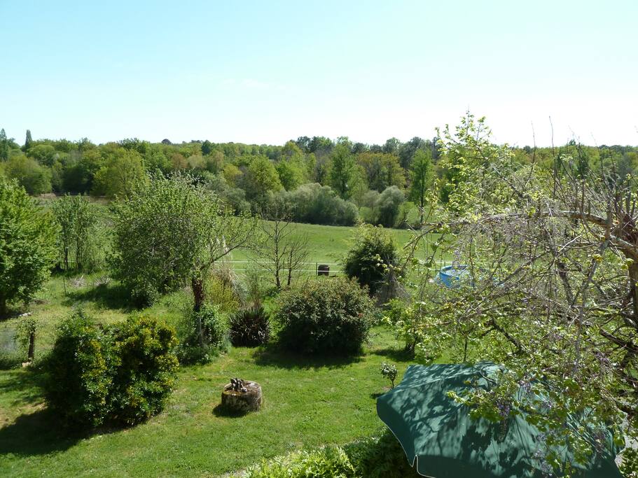 vue de la chambre 1