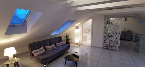 Attic duplex near city and forest, climate