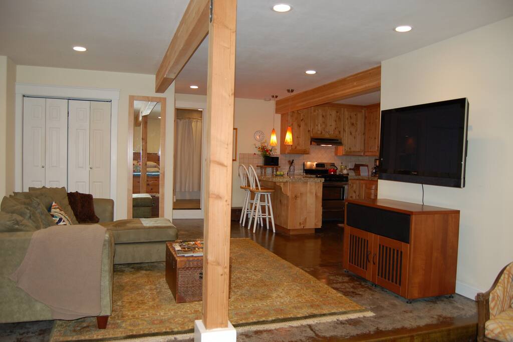 Living Space with Television