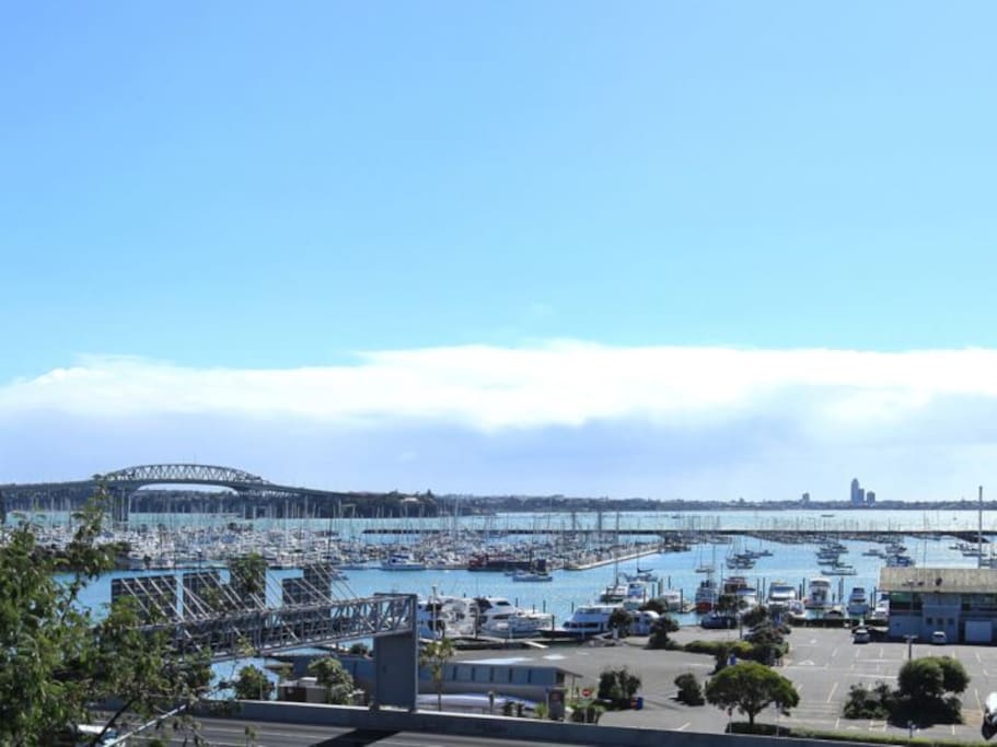 Westhaven Marina and Auckland Harbour