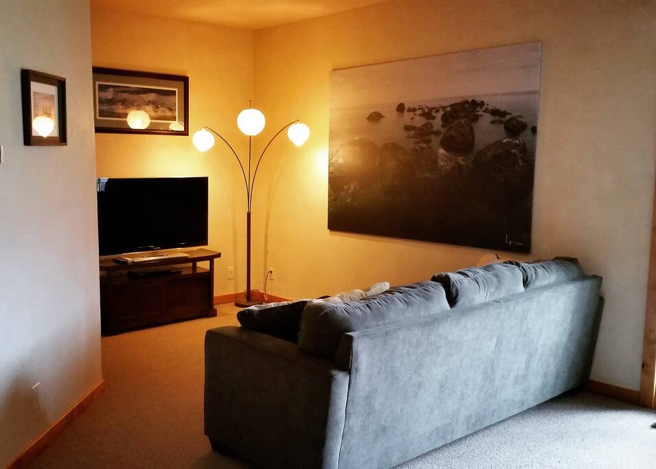 Living Area with TV/Netflix/Wii