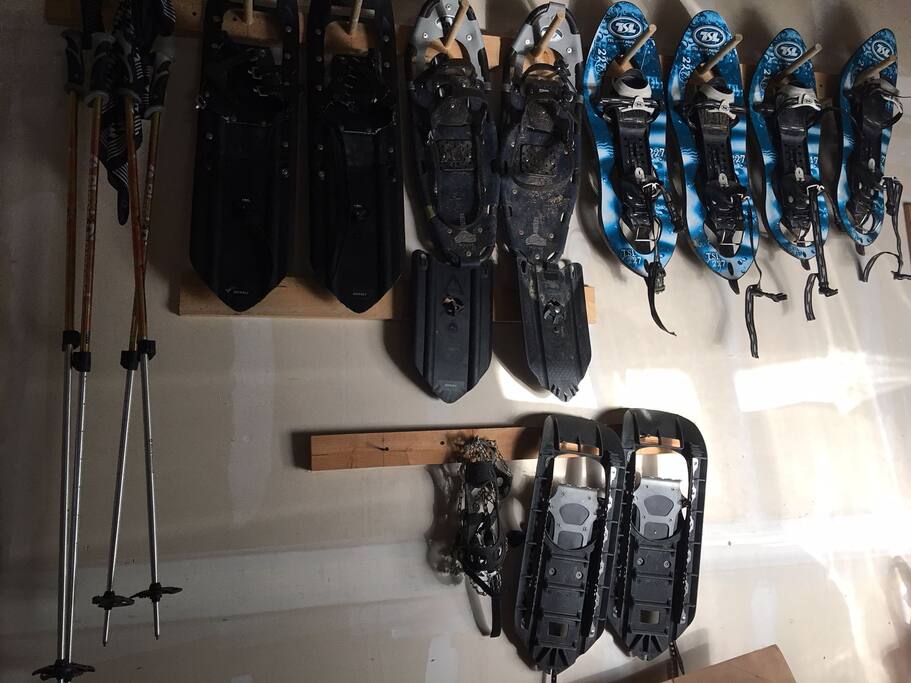 Some snowshoes available