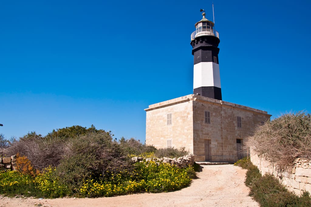 The Lighthouse