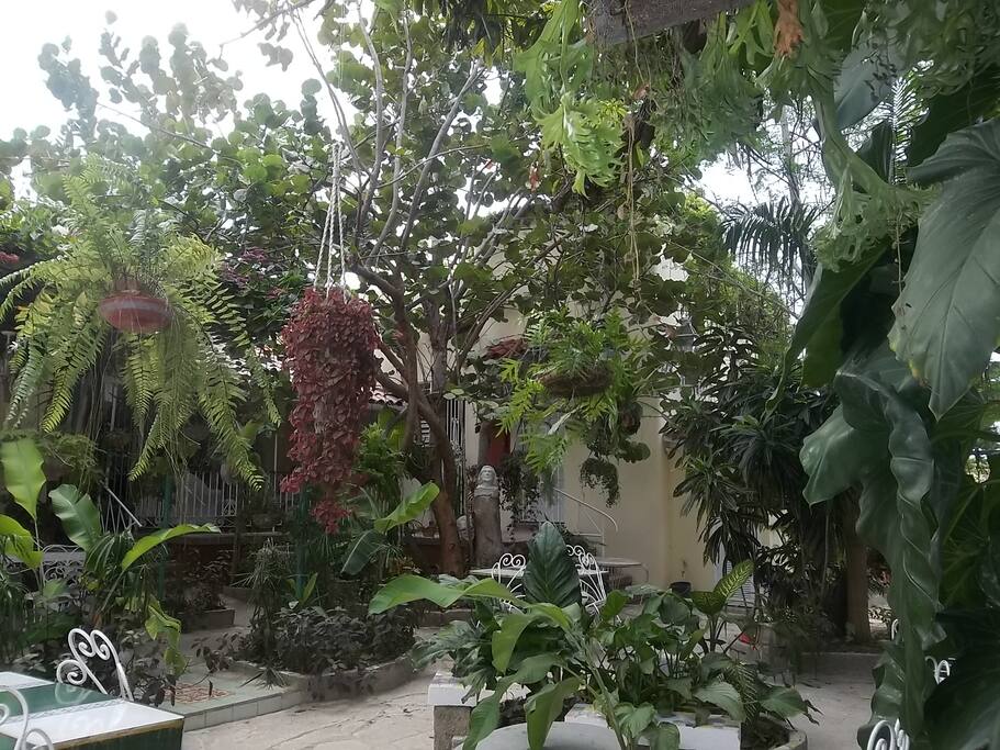 patio