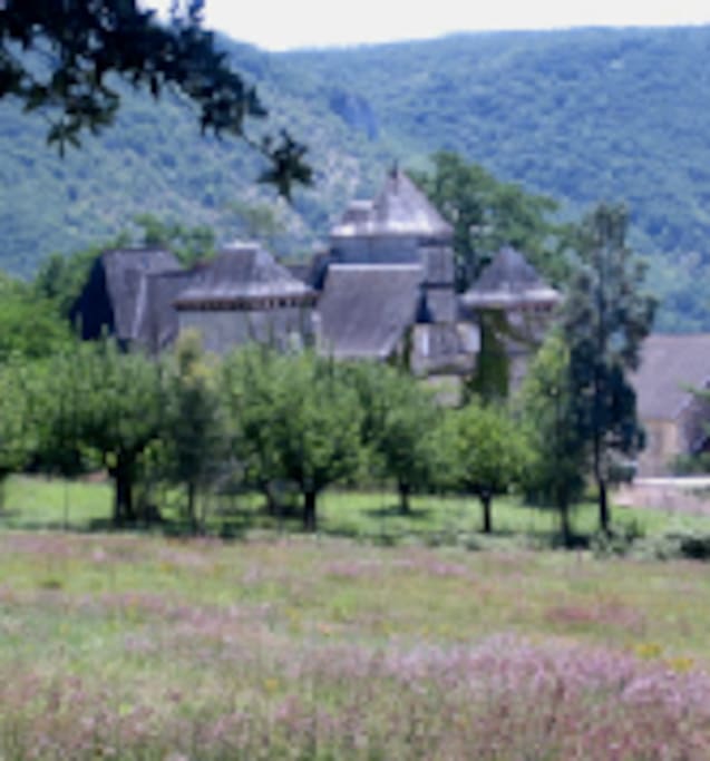 chateau in grounds