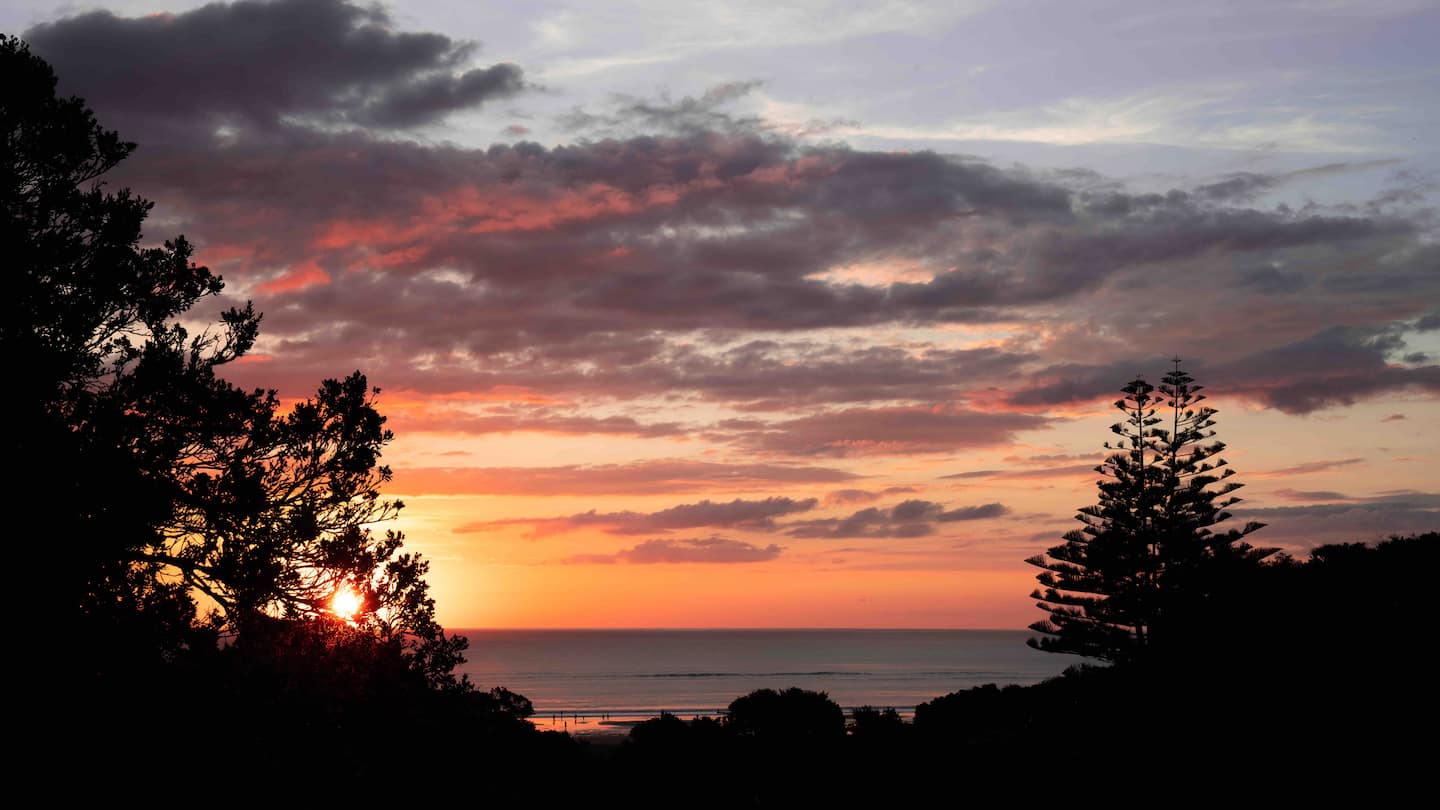 Piha Retreat 1