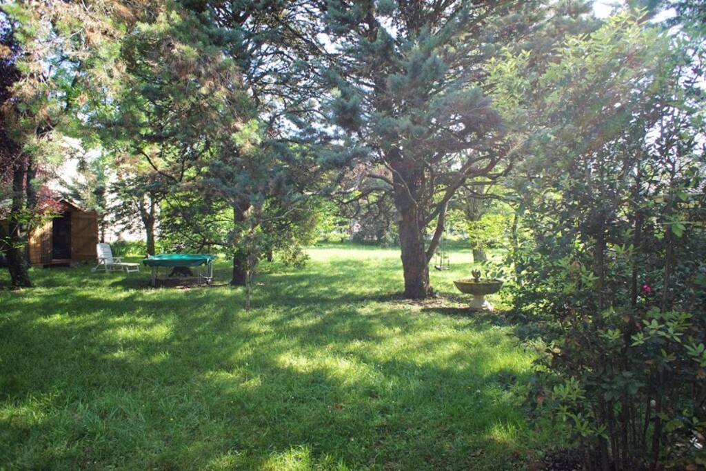 Huge garden