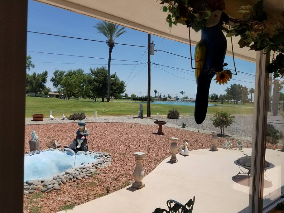 Fountain Pond View