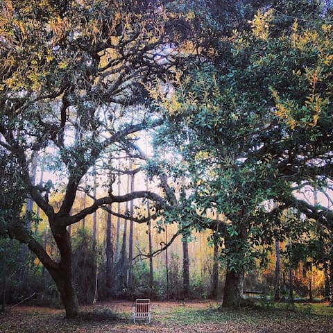 Cozy Cottage in the Forest- Close to Springs