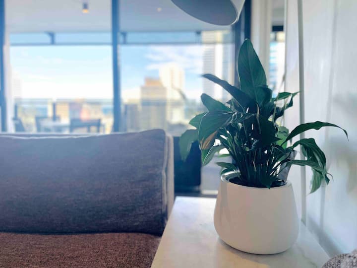 Free Parking, Ocean View, Location And Facilities - Surfers Paradise