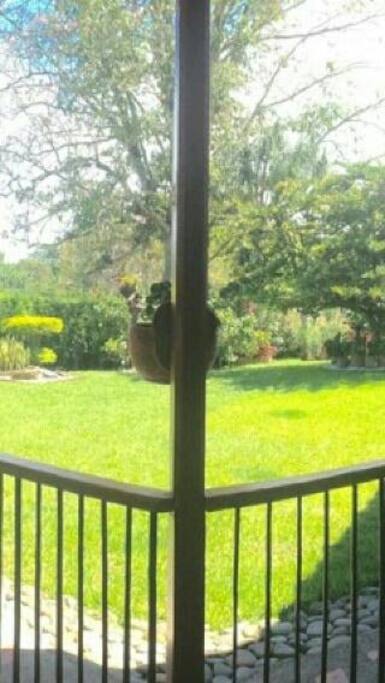 Vista al patio