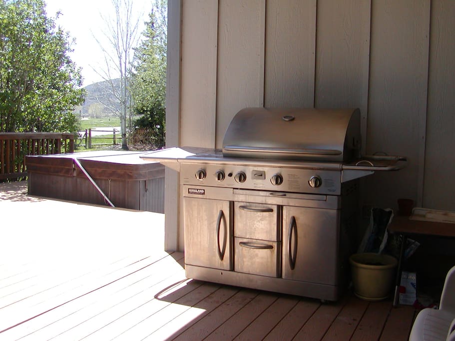 Gas Grill