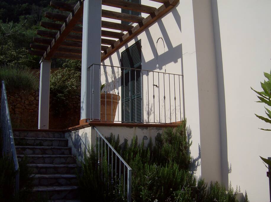 Ingresso