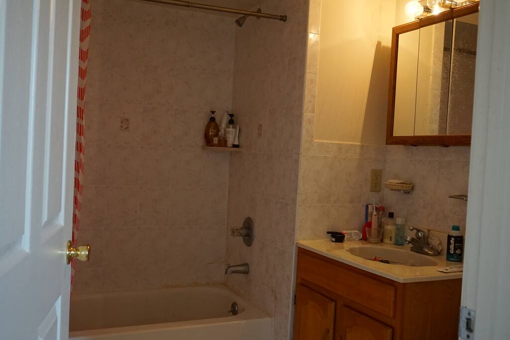 Bathroom (door opens from this bedroom)