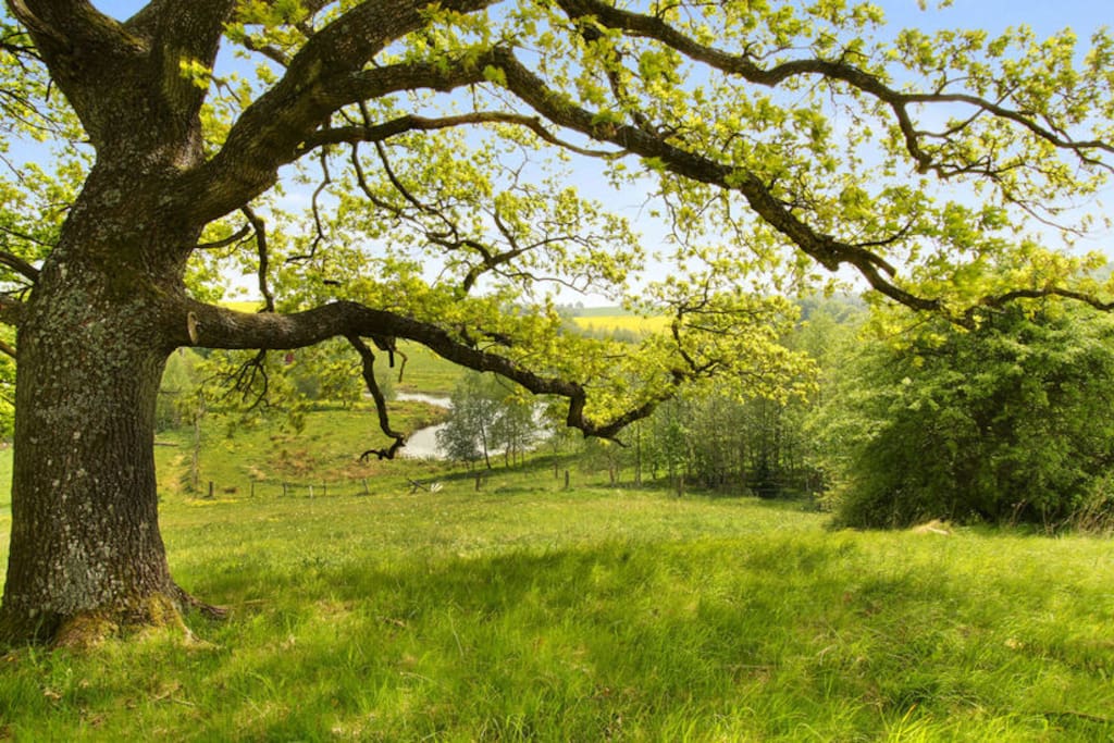 Farm Stay at Egehøj Natur