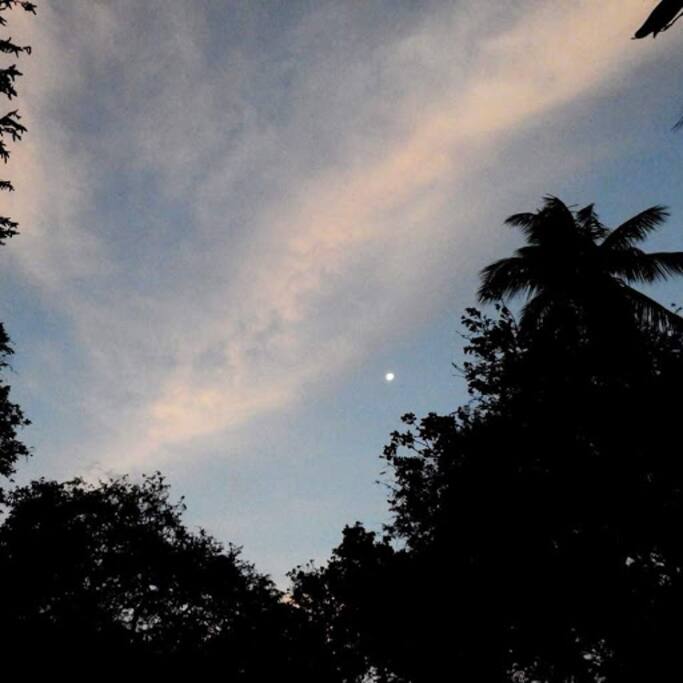 Firmamento al atardecer.
