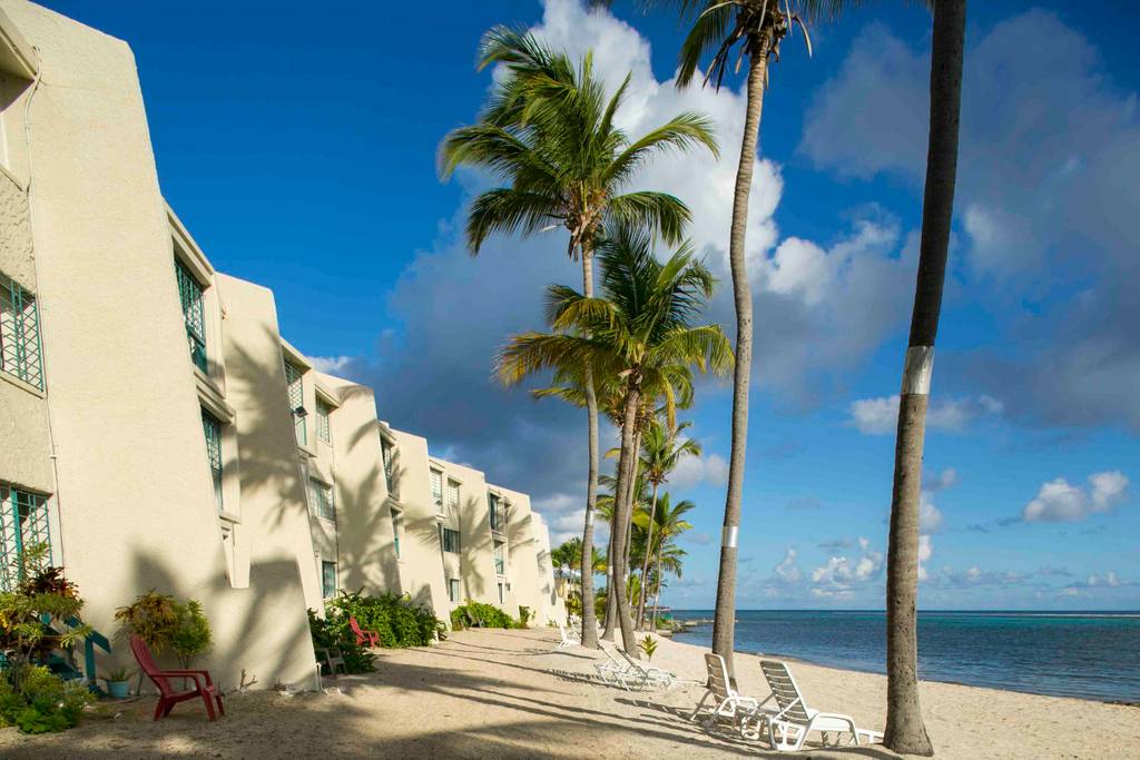 A sandy beachfront is lined with palms and lounge chairs, leading to an inviting ocean view. The smooth, stucco building is visible in the background, framed by tropical greenery. Soft clouds are scattered across a bright blue sky.