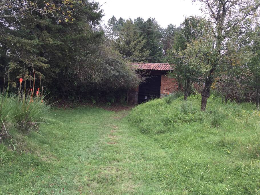 entrada a la huerta