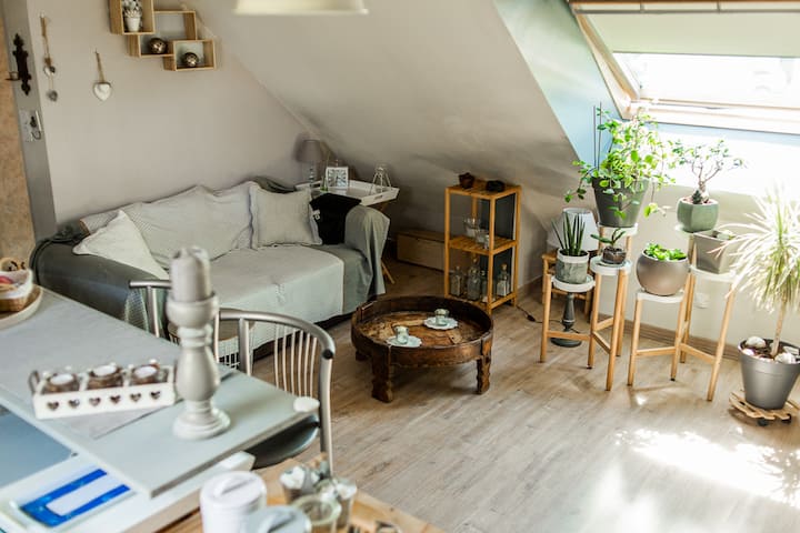 Petit Appart Sous Combles: Cocoon - Damgan