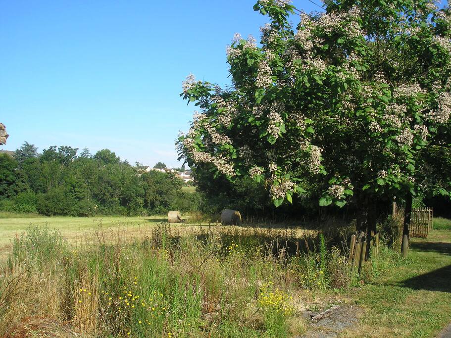 Nearby countryside walk