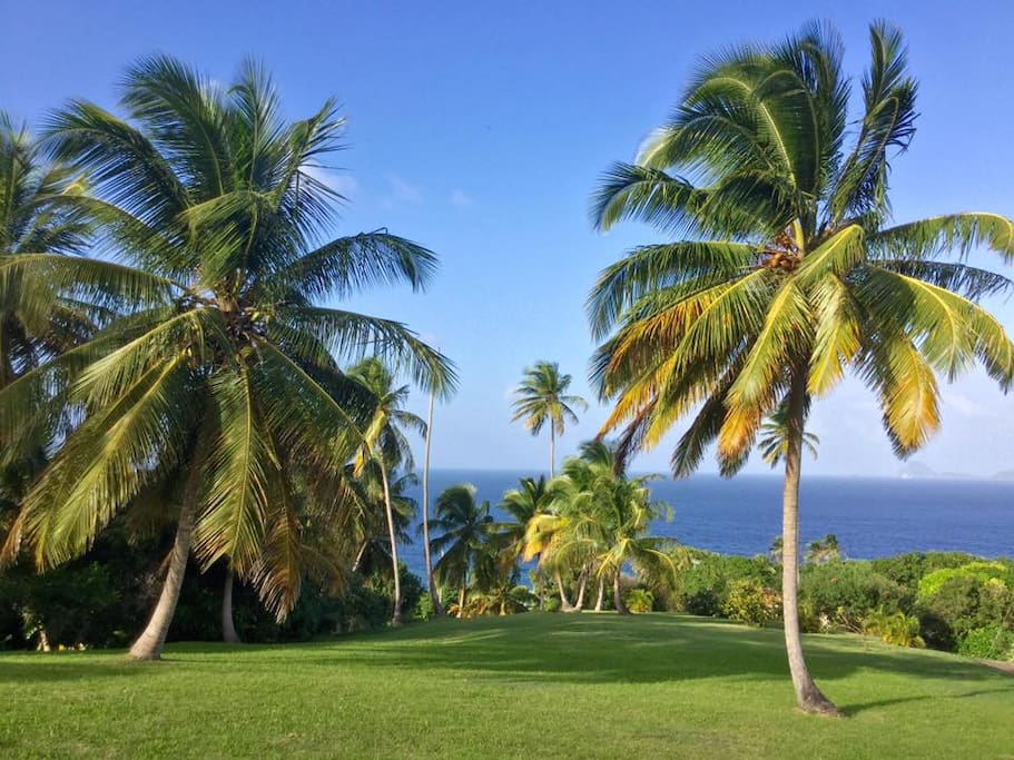 The view from the house.