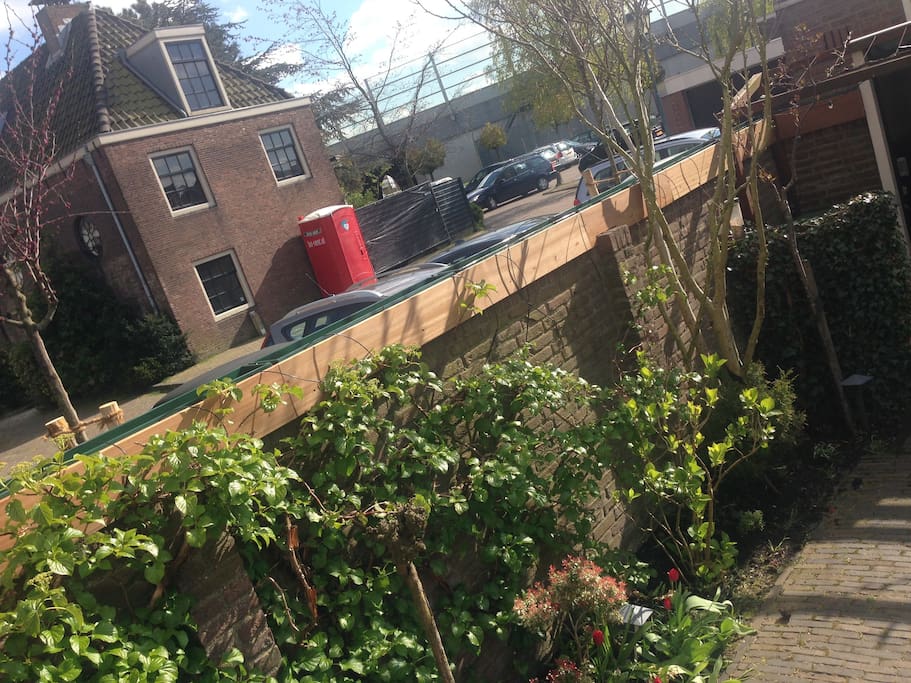 Peek over the garden wall towards neighbours on other side of the street
