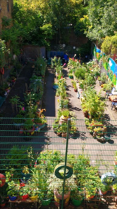 Award winning community garden!