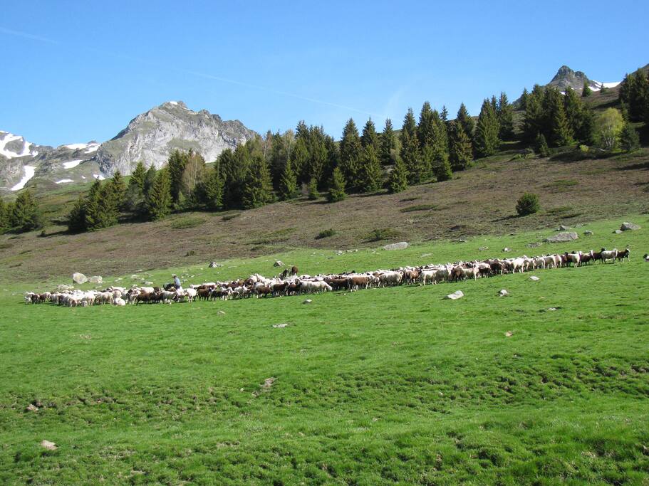 sur une exploitation agricole