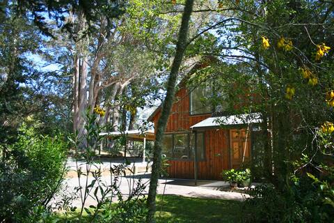 Ribbonwood Retreat, Upper Moutere, Tasman/Nelson