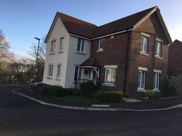 Room to Let in Large Detached House
