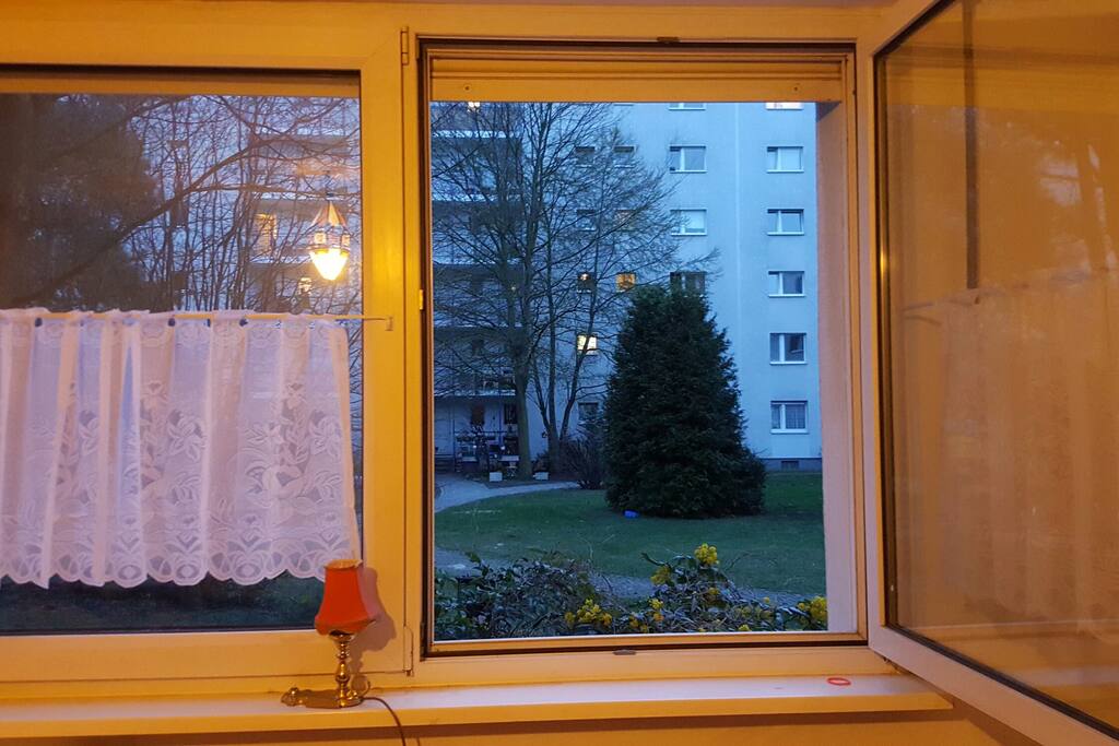 Window with view to backyard