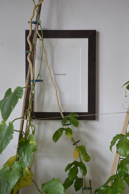 little atelier