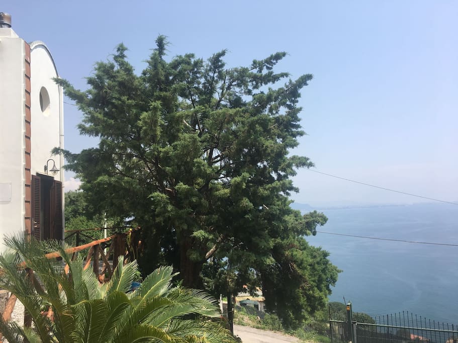 Vista mare - Sea view
managed by #starhost