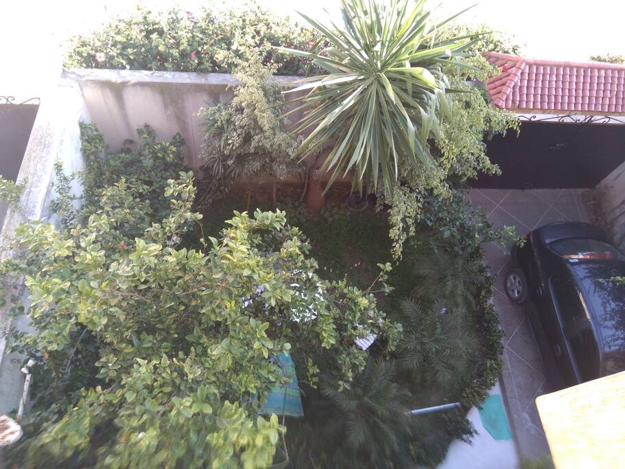 un jardin
