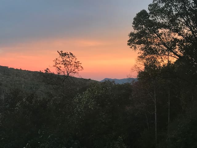 Mountain views close to everything in Asheville!