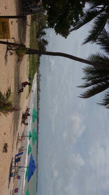 PRAIA DO BESSA