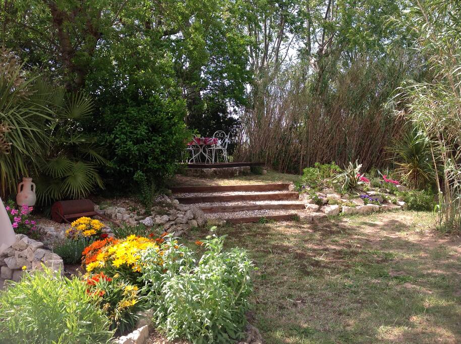 Garden